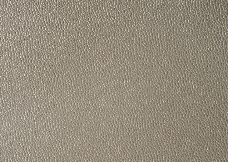 Lila Champagne Upholstered Panel Bedroom Set