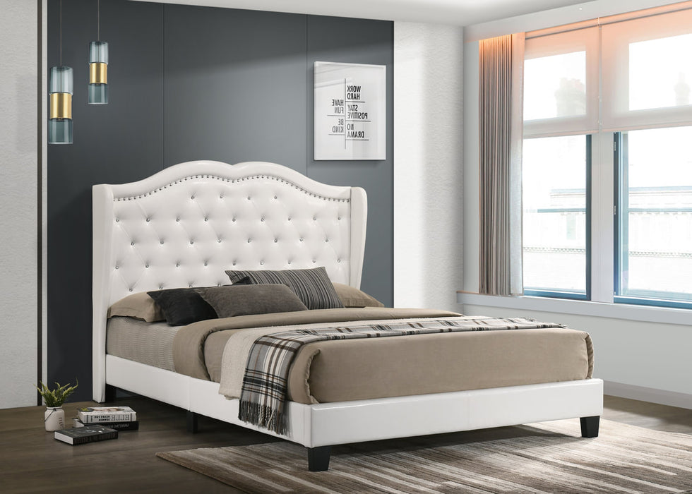 Paradise White Queen Platform Bed