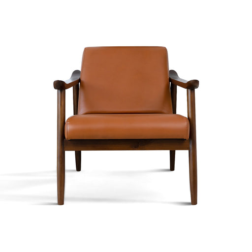 Brandon  Solid Dark Tan Leather Lounge Chair