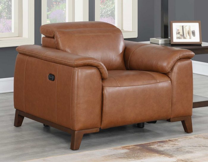 Bergamo Dual-Power Leather Recliner