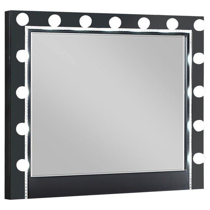 Eleanor Black Rectangular Mirror With Light