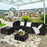 6 Pieces Outdoor Patio Rattan Sectional Sofa Set with Coffee Table