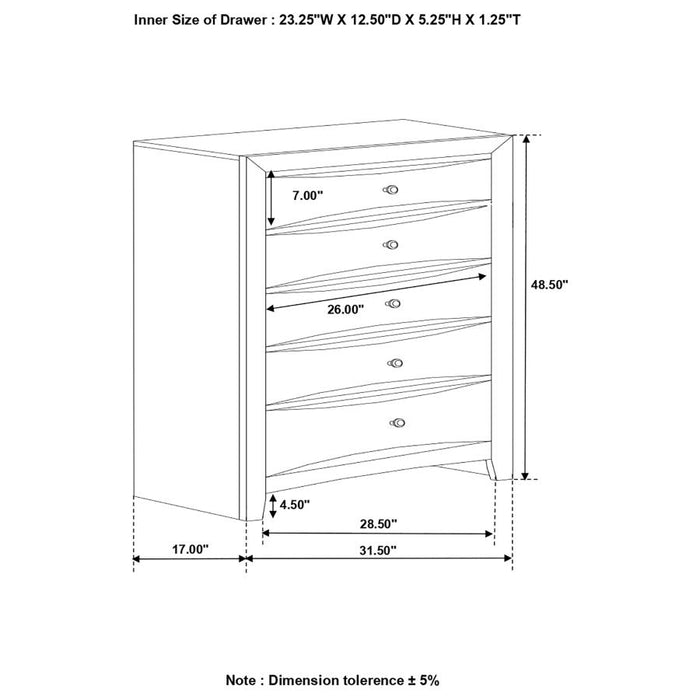 Briana Rectangular 5-drawer Chest Black