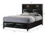 Fallon Black LED Storage Platform Bed