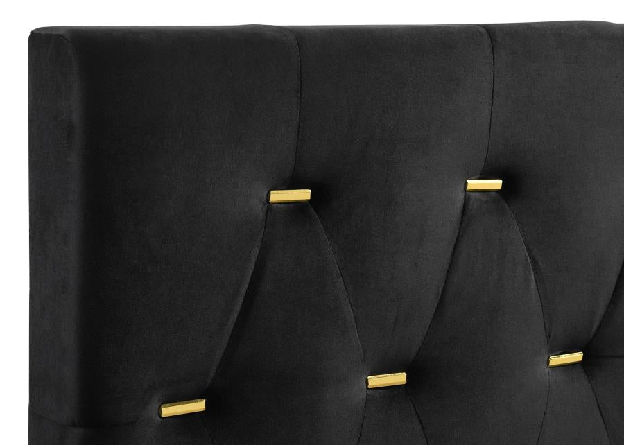 Kendall Tufted Panel Bed Black and Gold