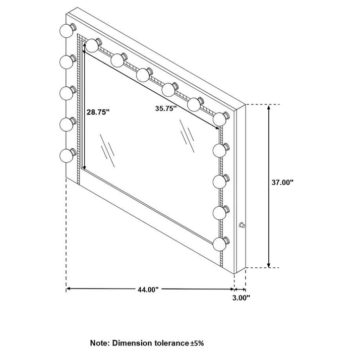 Eleanor Black Rectangular Mirror With Light