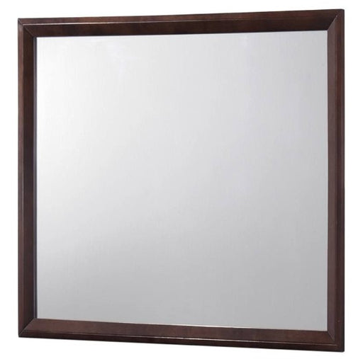 Evan Brown Dresser Mirror