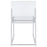 Adino Acrylic Dining Side Chair Clear and Chrome (Set of 2)