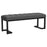 Mesa Upholstered Entryway Accent Bench