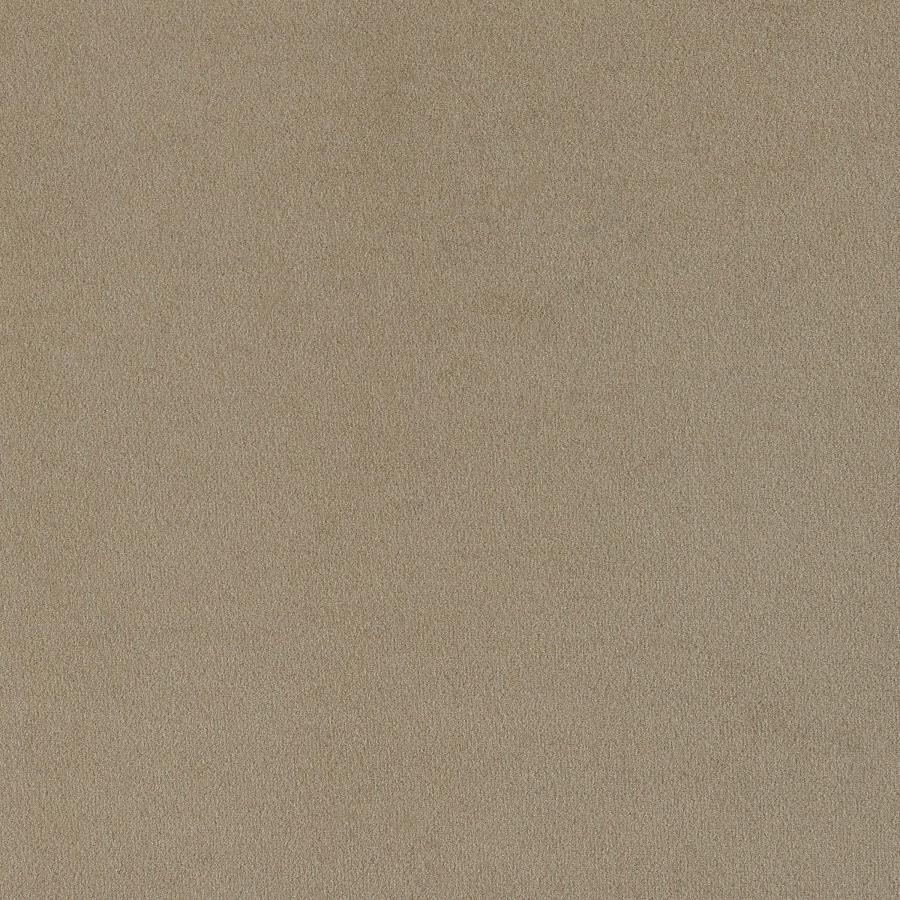 Rainn Upholstered Tight Back Chair Latte