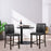 Set of 2 Bar Stools with Back for Kitchen Island