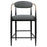 Tina Metal Counter Height Bar Stool with Upholstered Back and Seat