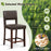 2 Piece Bar Chair Set with Hollowed Back and Rubber Wood Legs