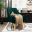 Velvet Upholstered Accent Chair with Rubber Wood Legs